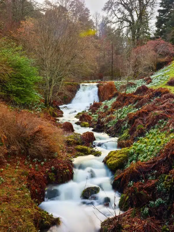 Stream with waterfall in background at Dawyck