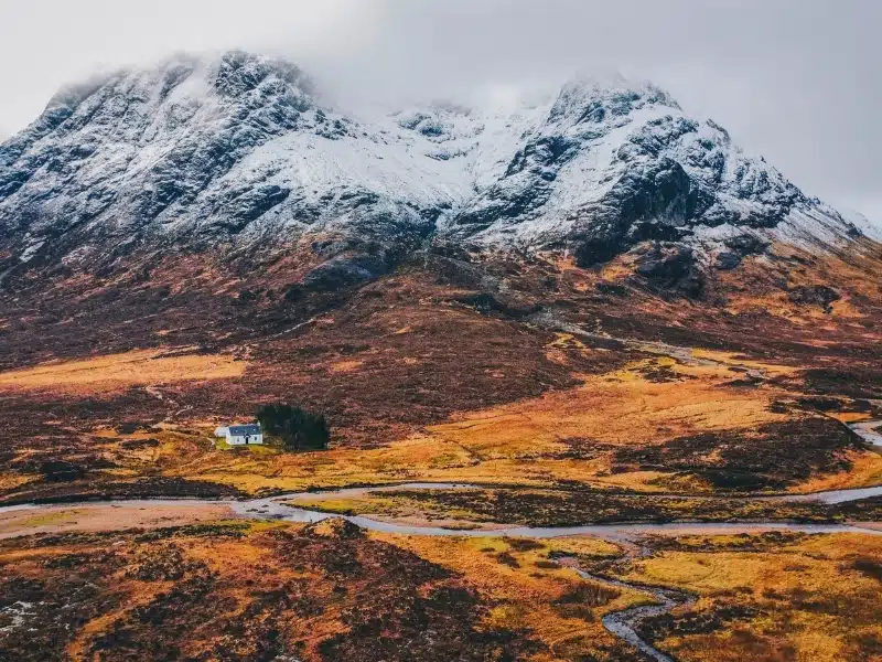 small white house amdst orange bracken with a snaw capped Munro mountain behind