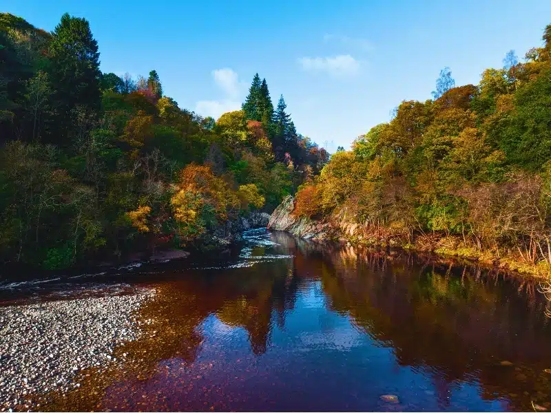 shallow pebbly river into a gorge lines with autumnal trees