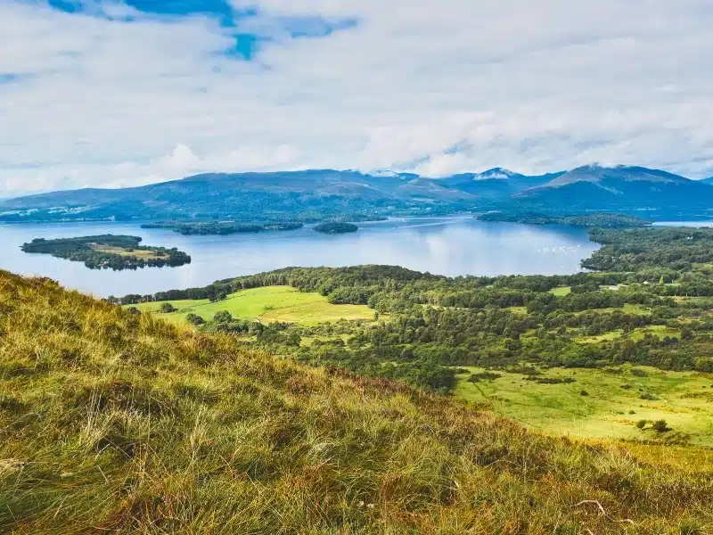 Long view over a sea lock an forested land with mountains in the far distance