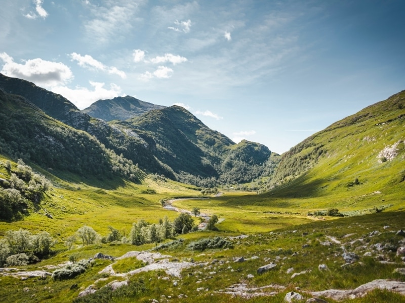 Wide grassy valley lined with mountains and a river running through tress in the valley