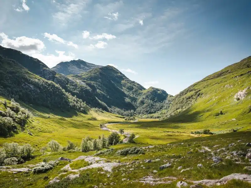 Wide grassy valley lined with mountains and a river running through tress in the valley