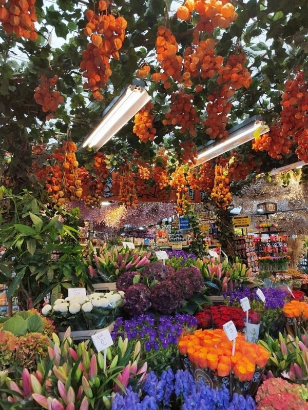Brightly colred bucket of flowers for sale with dried flowers hanging from the ceiling