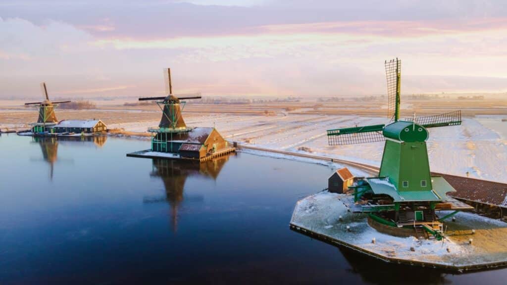 three windmills on a snowy day at dawn