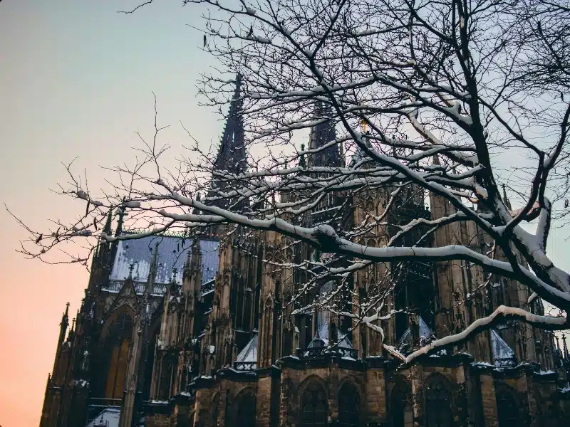 An ornate Gothic cathedral at dusk seen through a bare tree with snow covered branches