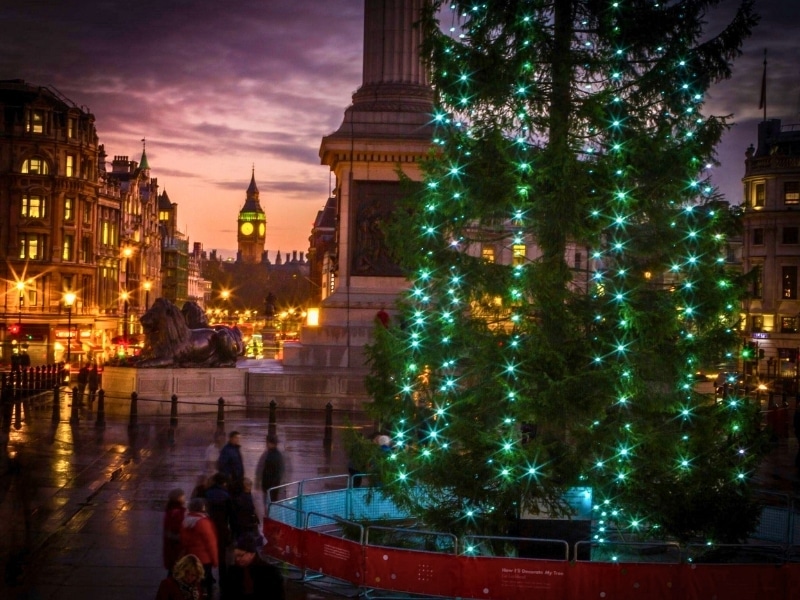 Christmas tree next to Nelson's Column with a view down Whitehall to Big Ben
