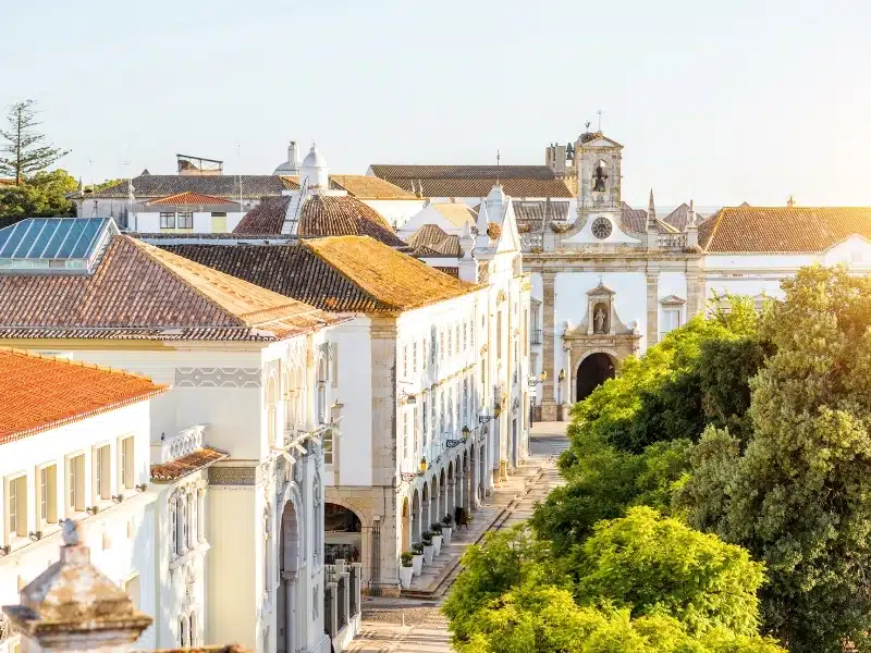 View across historic Portuguese buildings surrounded by orange trees