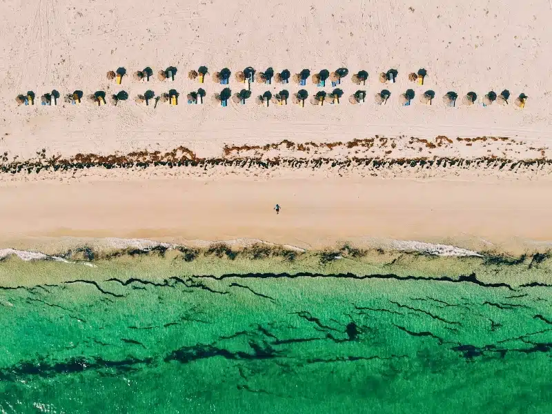 Drone shot of a white sandy beach and clear se with parasols linedup on the beach