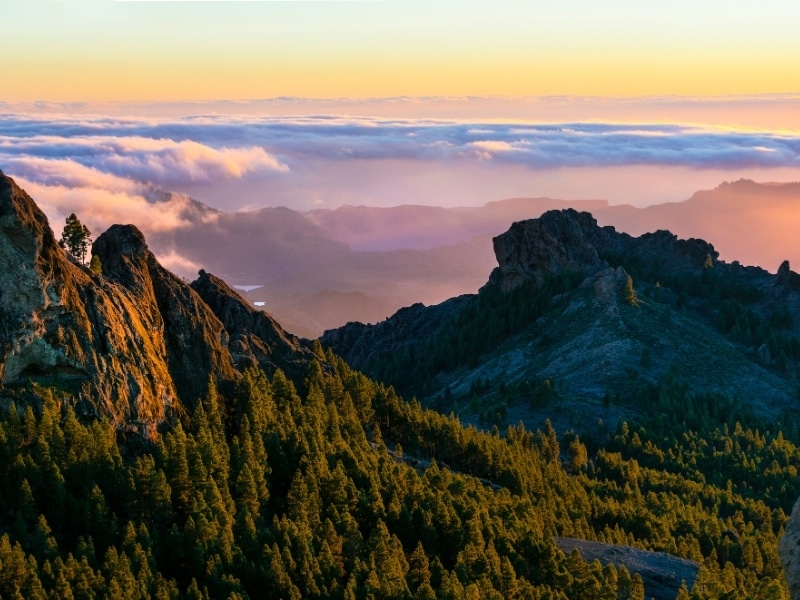Dramatic rocky landscape shrouded in low clouds