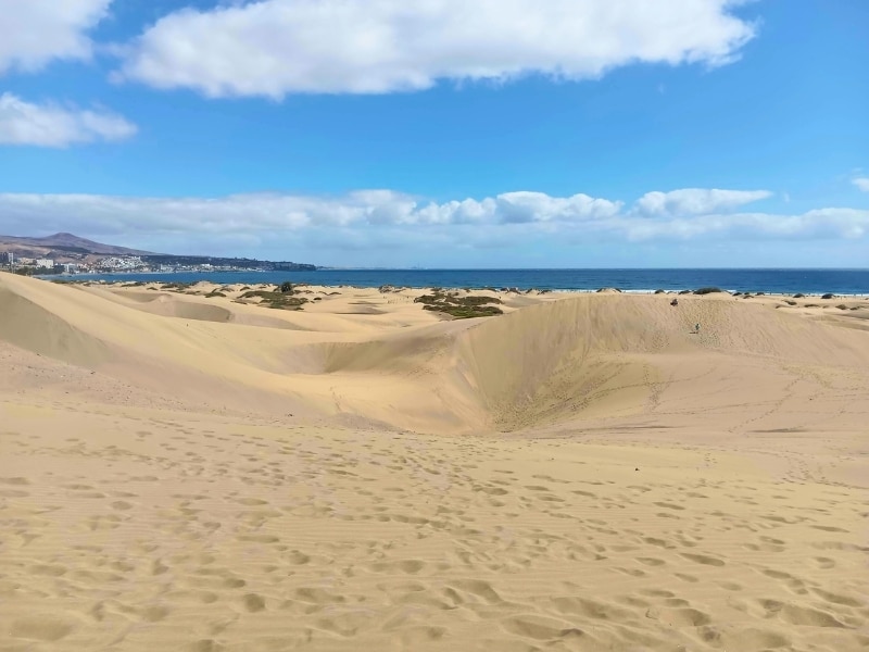 Extensive dunes leading to a blue sea with a town in the background of the bay
