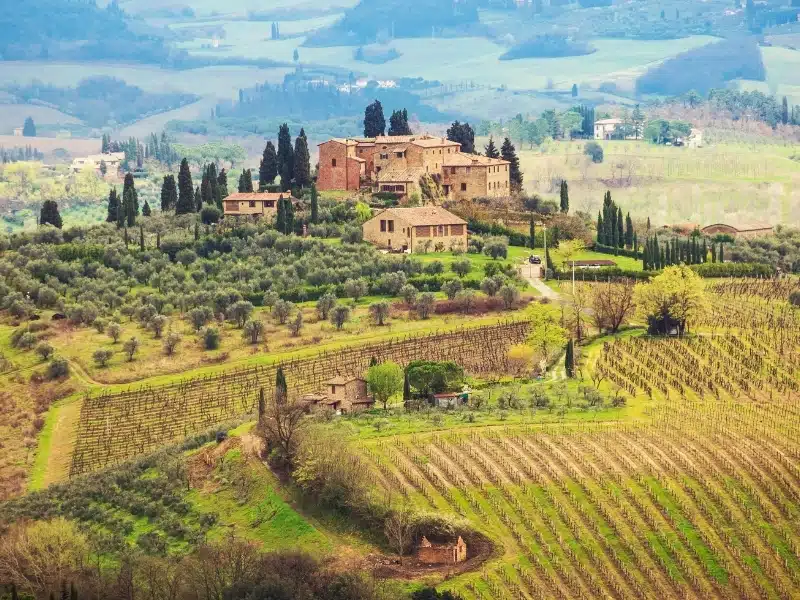 Bare vineyards and olive groves surround a stone house in Tuscany in winter