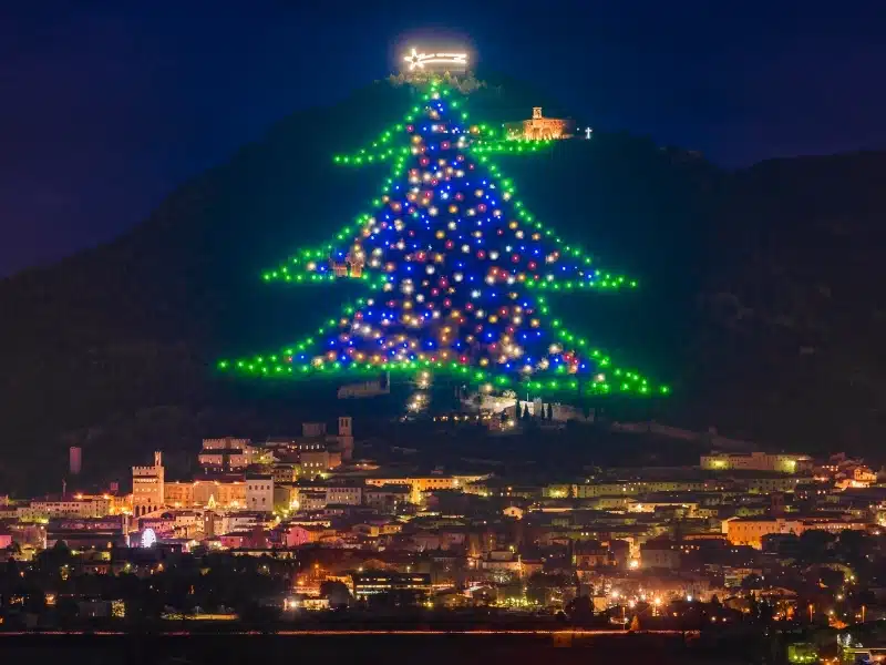 Small town at night with. ahuge Christmas tree lit up on a hill behind