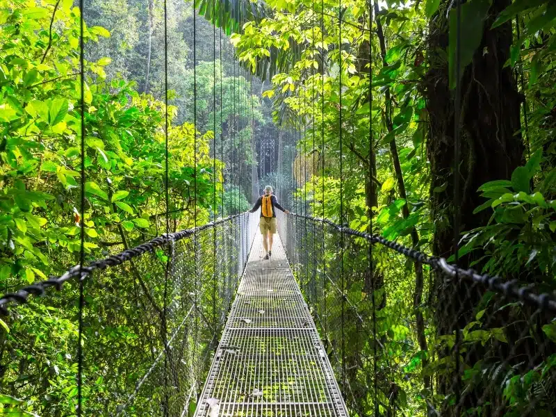 Hiking in green tropical jungle over a rope bridge