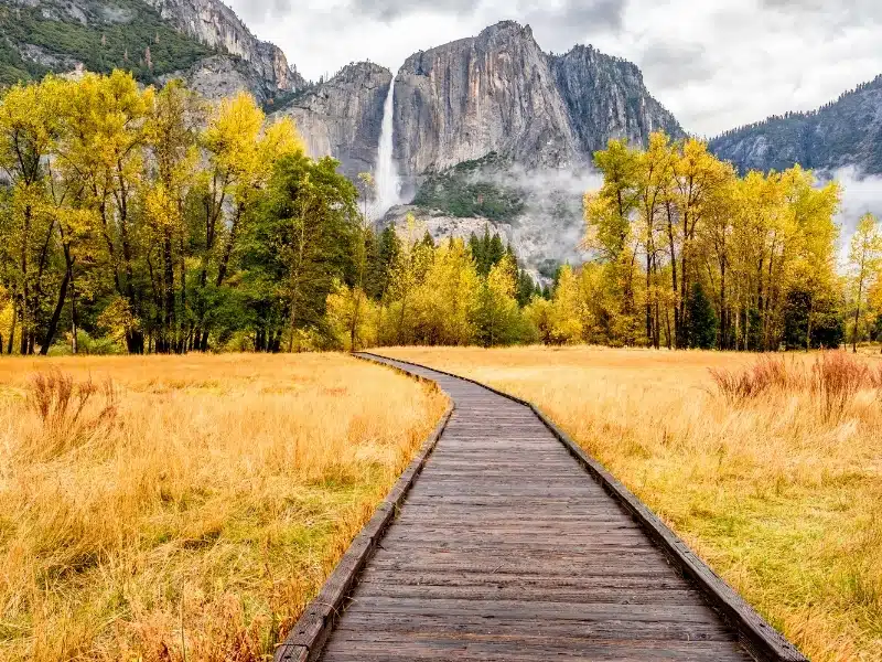 Meadow with boardwalk in Yosemite National Park Valley with Yosemite Falls at cloudy autumn morning. California, USA
