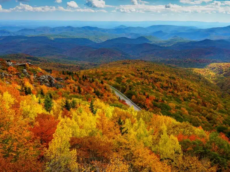 Rough Ridge at Peak Color in the Fall
Blue Ridge Mountains, Appalachian Mountains, North Carolina