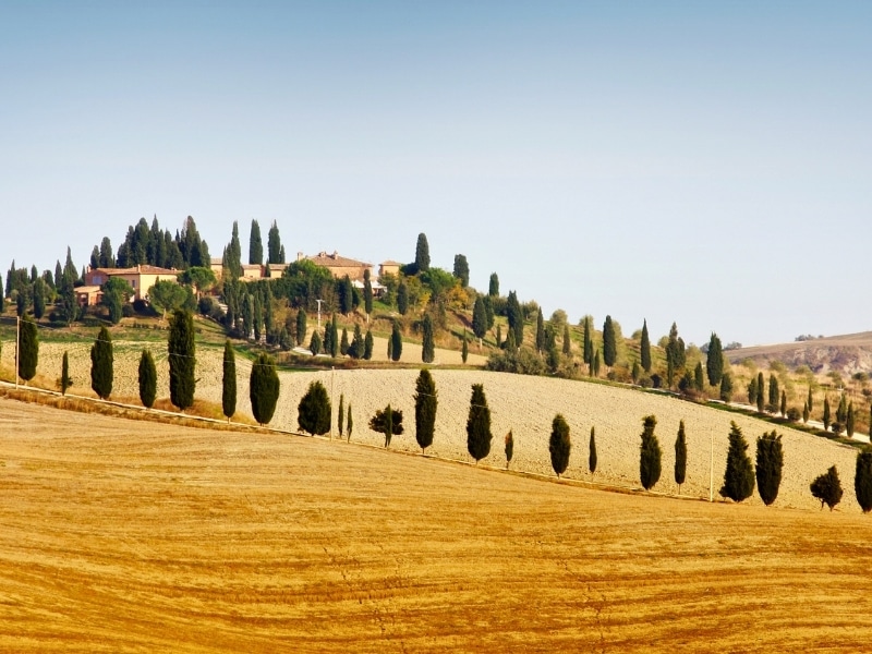 Typical landscape in Tuscany in autumn