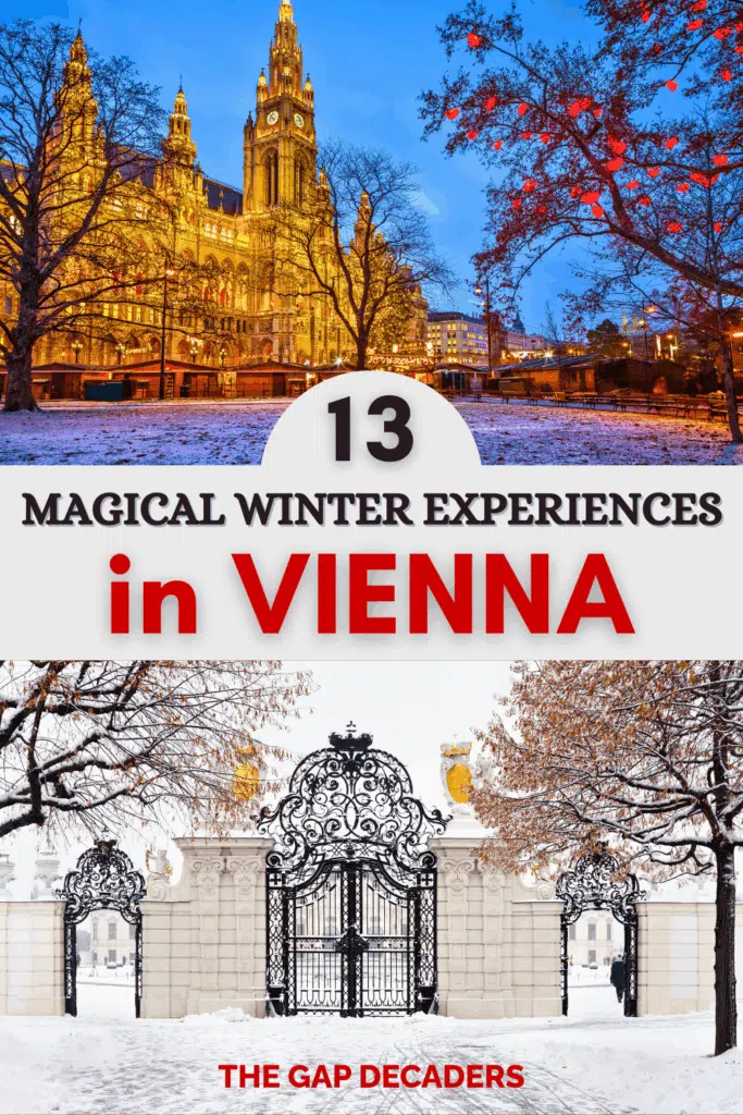 things to do in Vienna in winter