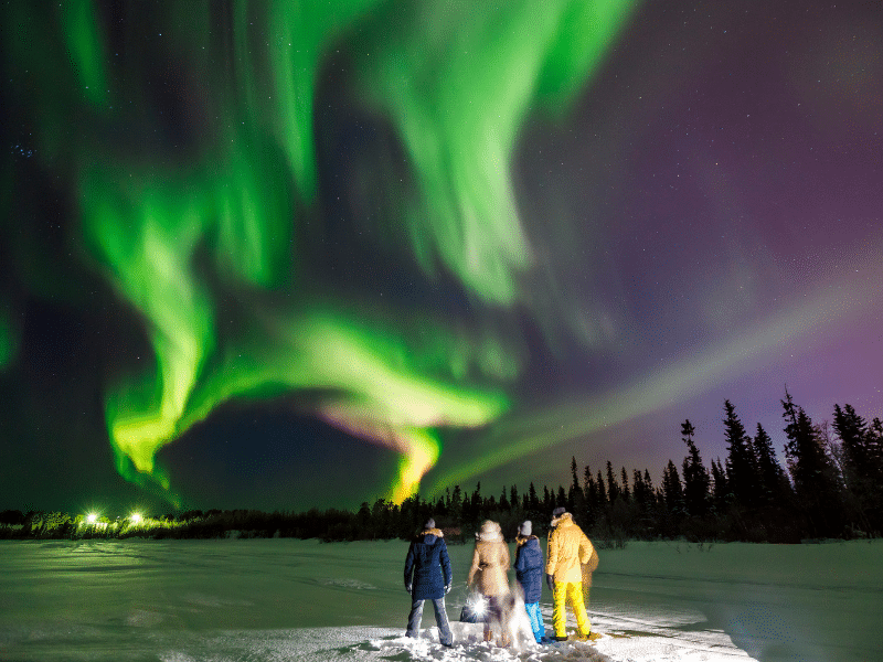 Company of tourist looking at northern lights at edge of snowy forest.