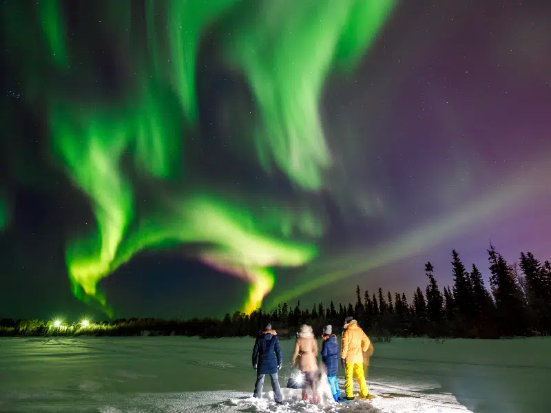 Company of tourist looking at northern lights at edge of snowy forest. 