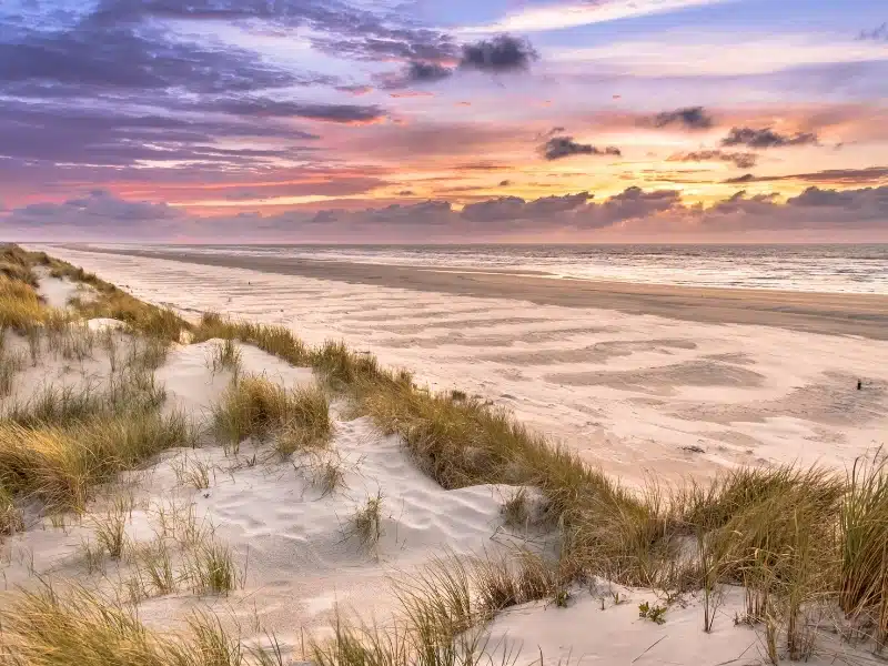Lomg stretch of sandy beach at sunset backed by grassy dunes