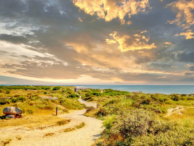Beautiful Landscape in Skagen, Denmark 