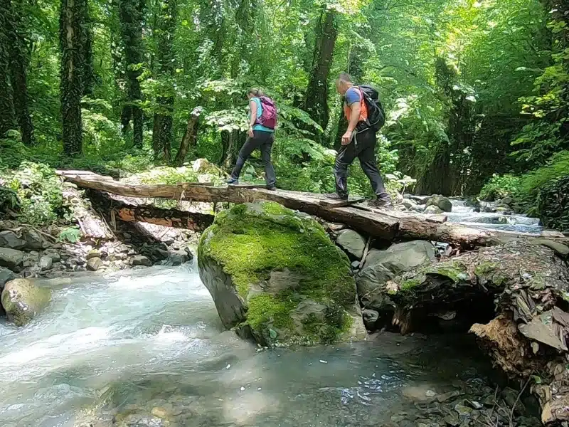 Two people in hiking gear walking across a makeshift wooden bridge in a lush forest setting