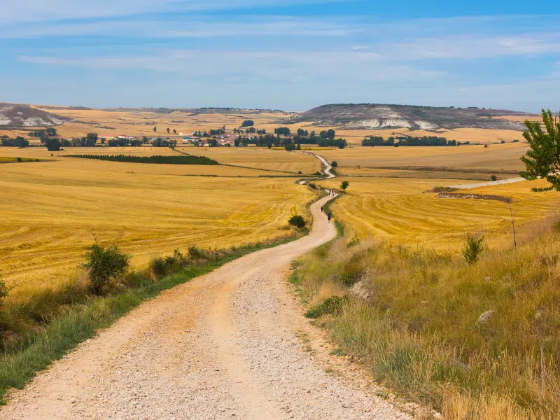 Path through wheat fields where the pilgrims walk on the Camino de Santiago, Spain.