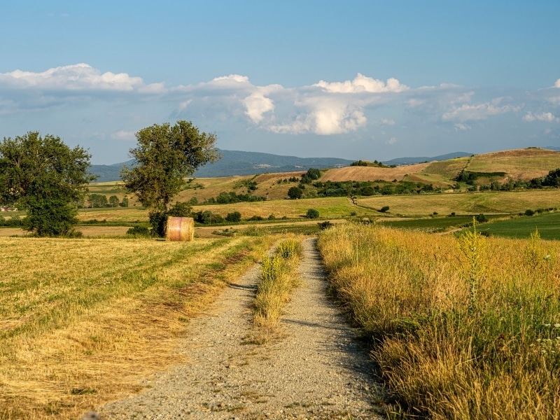 Summer landscape along the road to Camigliatello Silano, Cosenza, in the Sila natural park at summer