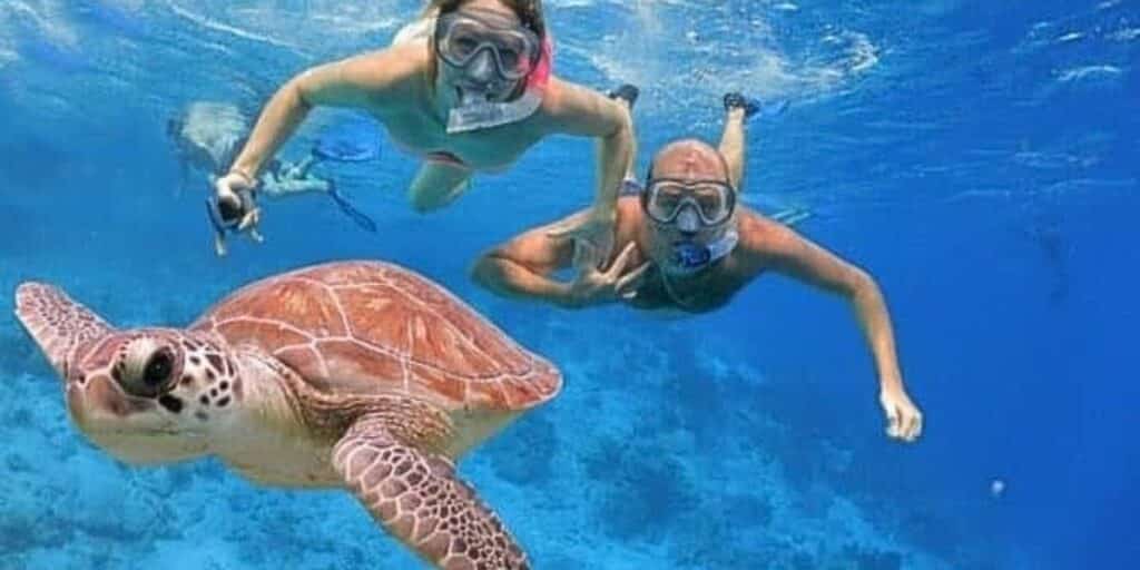 Hurghada Snorkeling