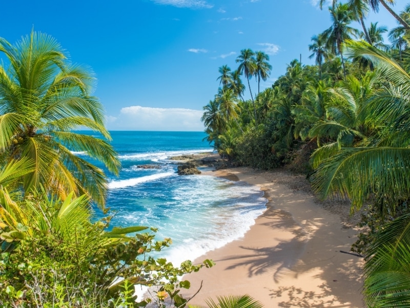 Wild caribbean beach of Manzanillo at Puerto Viejo, Costa Rica