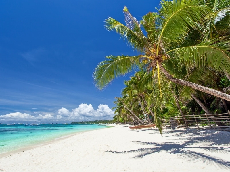 Tropical coastline with beautiful palm and white sand, Philippines, Boracay Island