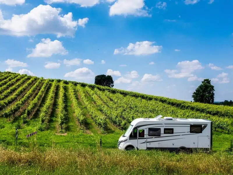 Modern camper van motorhome parking in a vineyard