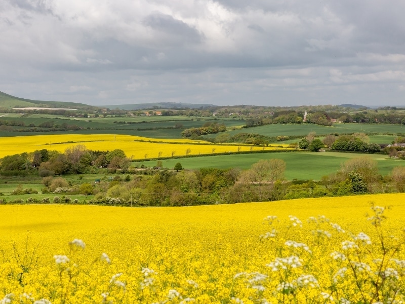 spring road trip in the UK