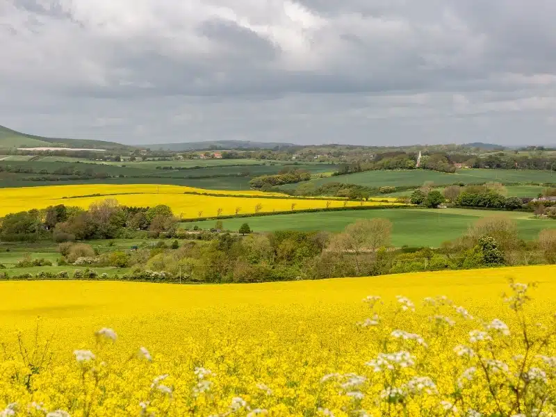 spring road trip in the UK