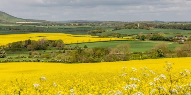 spring road trip in the UK