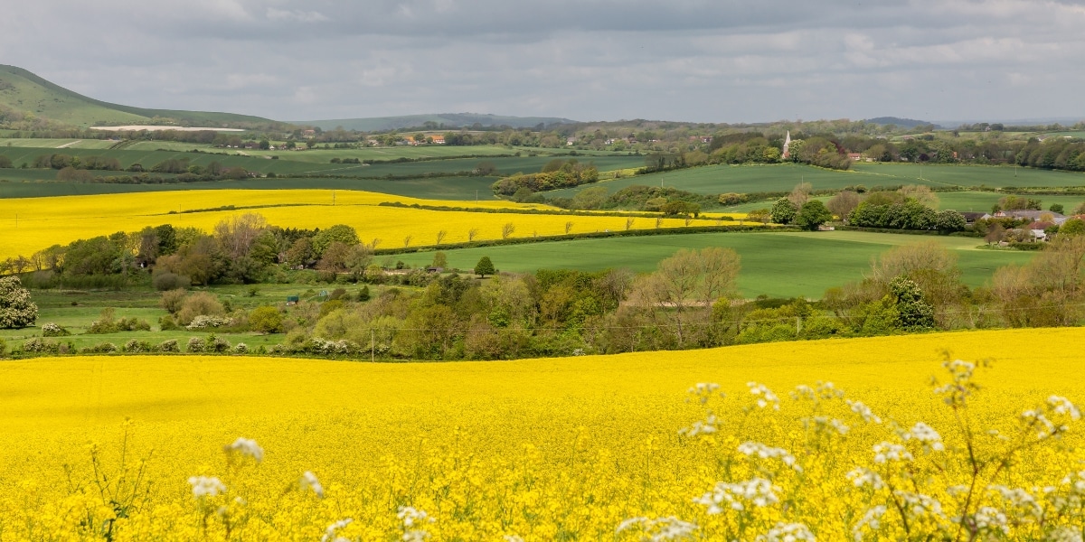 Spring Outside Uk The Best Spring Road Trips in the UK: 15 Routes to Explore | The Gap ...