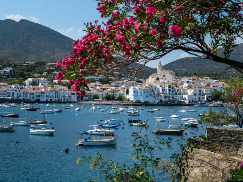 Low-rise white seaside town seen over a boat filled harbour