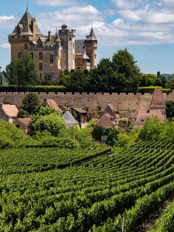 Walled castle surrouned by small houses and vineyards