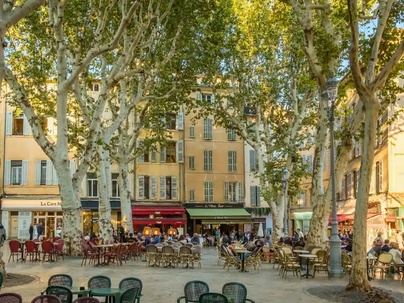Aix-en-Provence, France. People enjoying drinks and meals at outdoor restaurant tables shaded by large plane trees in a picturesque public square in the heart of the city.